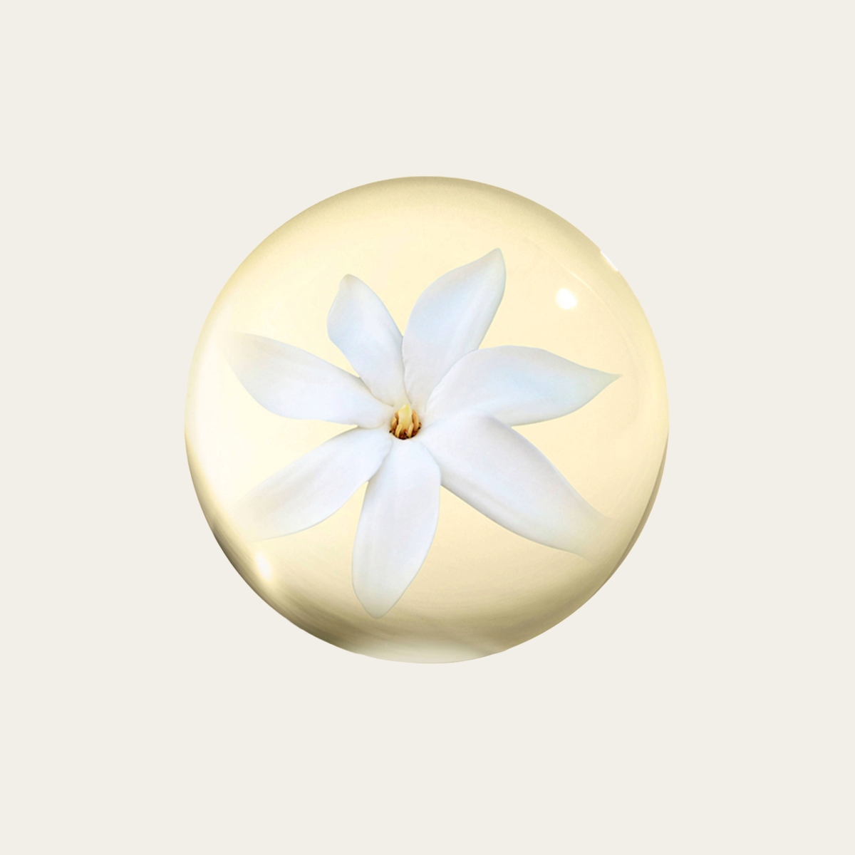 韶光花水潤膚乳液